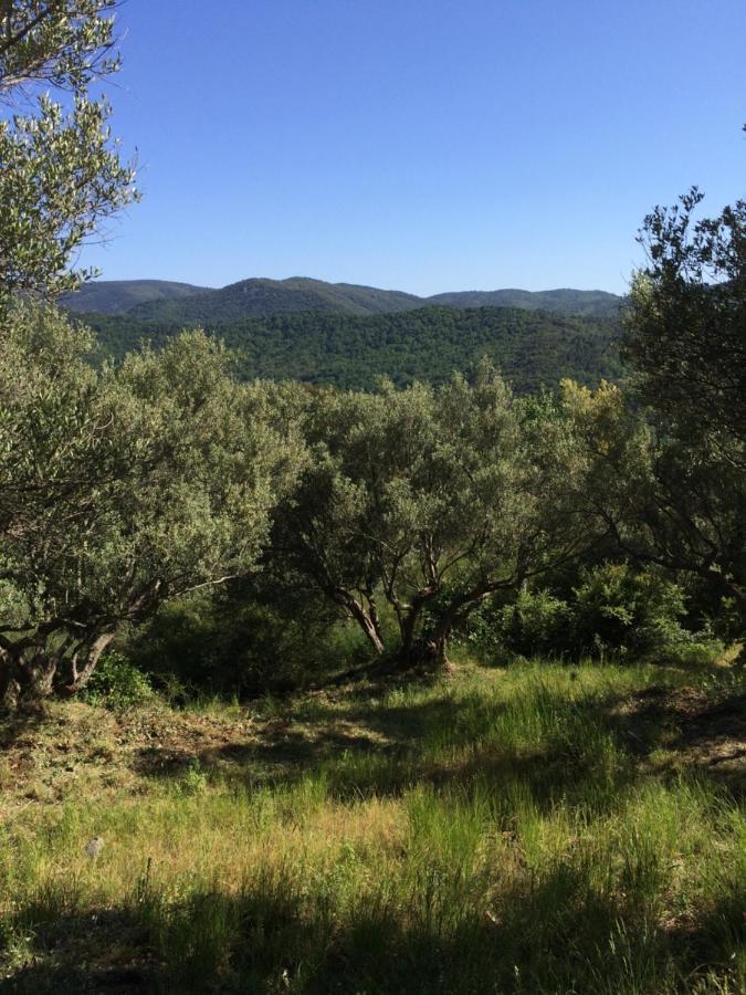 La Provence Authentique A 30 Minutes Des Plages Collobrieres Luaran gambar